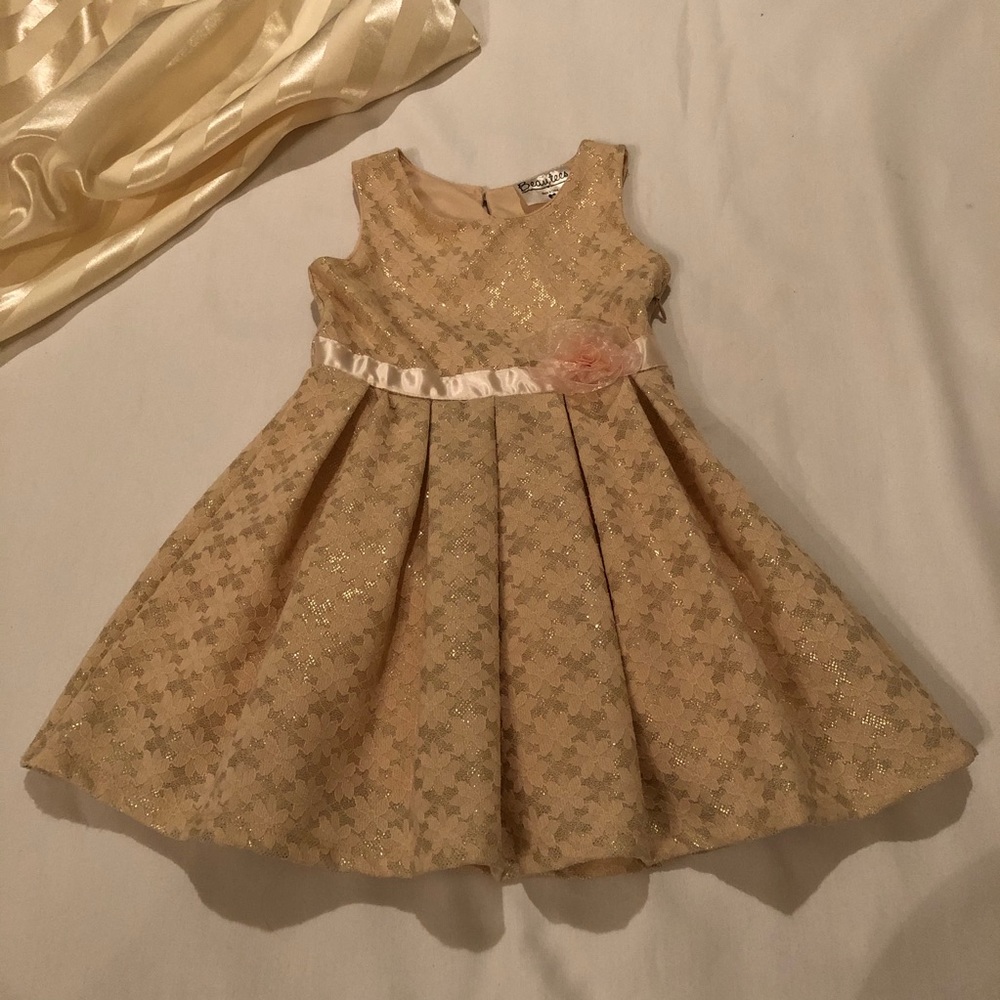 Blush Pink and Gold Toddler Girl Dress Size 2T